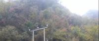 湖北整治關(guān)停100多座小水電站 , 其中宜昌48座、神農(nóng)架林區(qū)21座、恩施20座