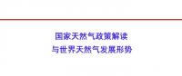 國家能源局原副局長張玉清：國家天然氣政策解讀與世界天然氣發(fā)展形勢