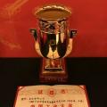 國家電網(wǎng)公司第四次榮獲中國工業(yè)“奧斯卡”獎！