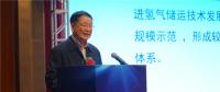 中國能源研究會(huì)副秘書長王凡：截止到2018年7月 我國有近20座城市規(guī)劃和布局發(fā)展氫能與燃料電池產(chǎn)業(yè)