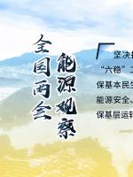 讀圖｜2020政府工作報(bào)告中這些內(nèi)容，和能源電力有關(guān)！